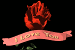 amour